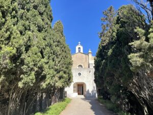 Ermita de Betlem Zypressen