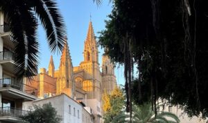 palma Kathedrale