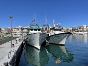 Hafen Cala Ratjada