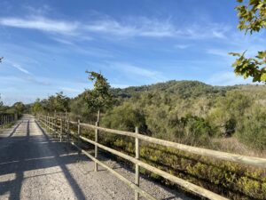 Via Verde Manacor Arta