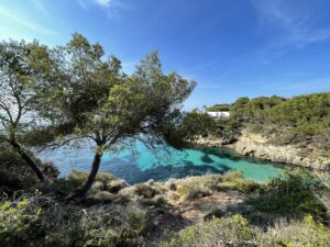Cala Vinyes Mallorca