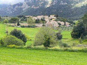 Orient Mallorca